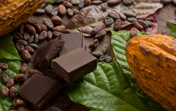 Tingkatkan Mood dan Nikmati Rasa Asli Cokelat dengan Nestle Dark Chocolate